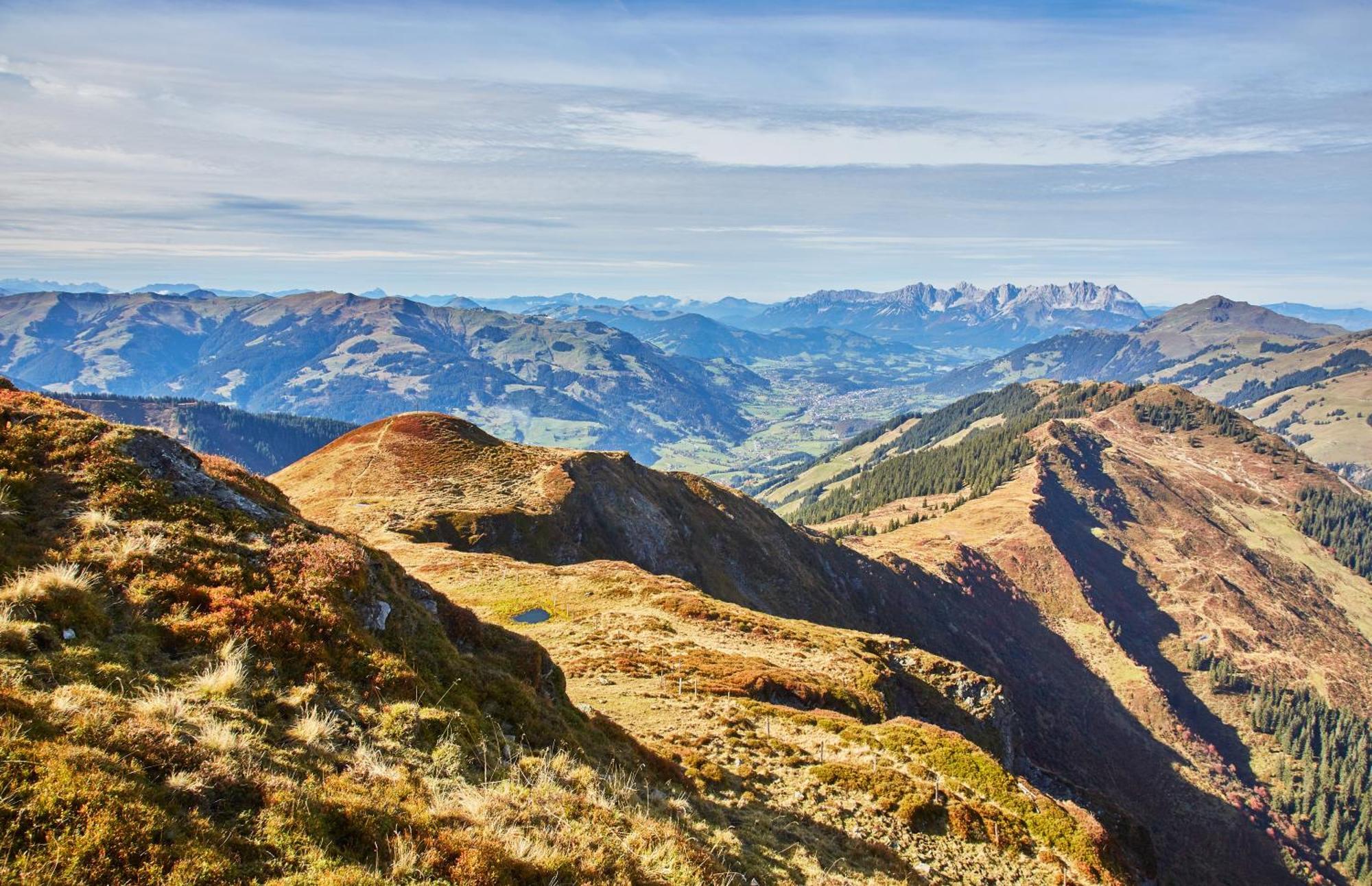 Apartments Landhaus Saalbach 외부 사진